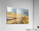 85O 4360 Acrylic Print