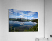 D71 1093 Acrylic Print