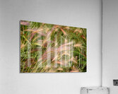 D71 1326 Acrylic Print