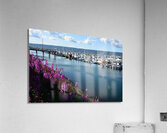 D71 9811 Acrylic Print