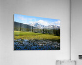 Moose Pass Alaska Acrylic Print