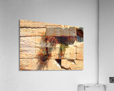 Test 4 Acrylic Print