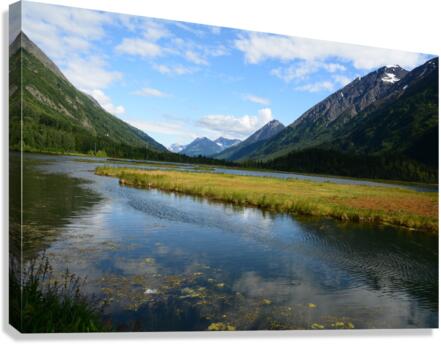 Tern Lake Alaska Canvas Print