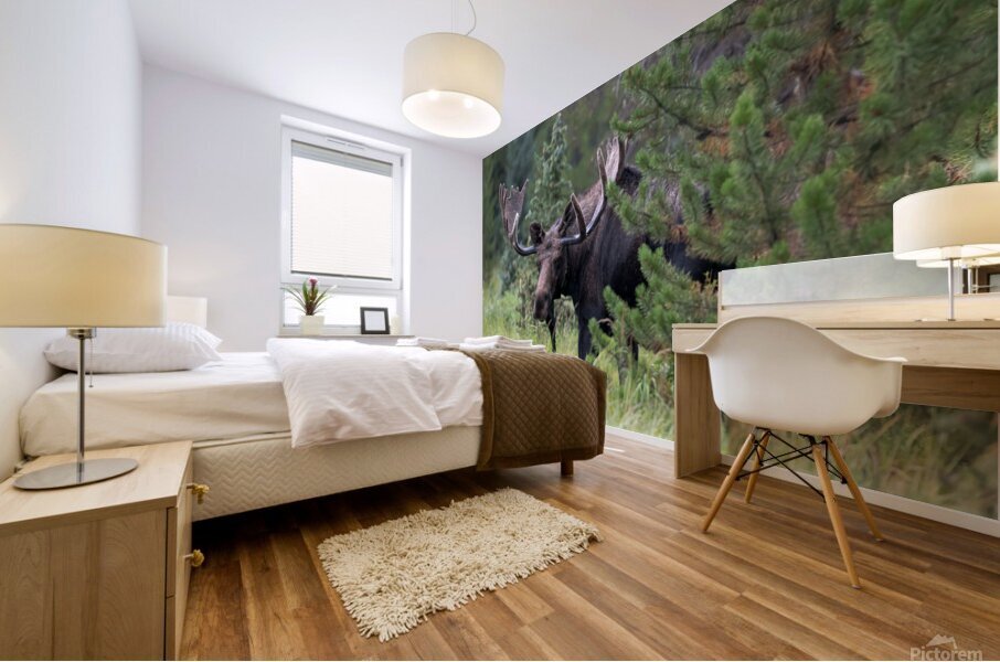 Rocky Mountain Moose Mural print