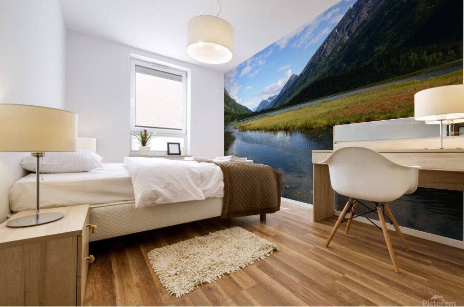 D71 9850 Mural print