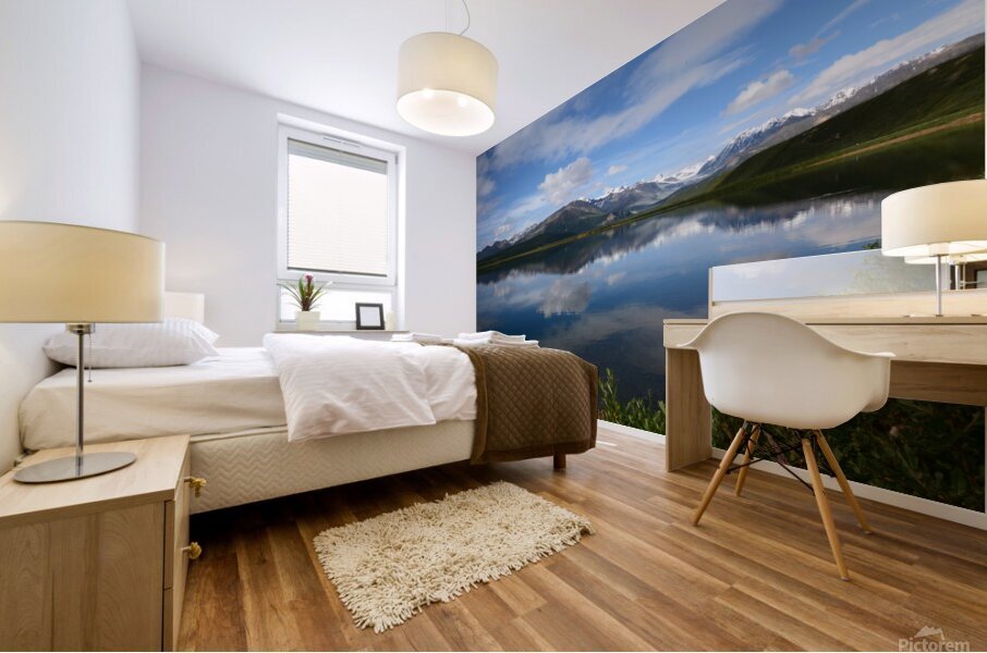 D71 1093 Mural print