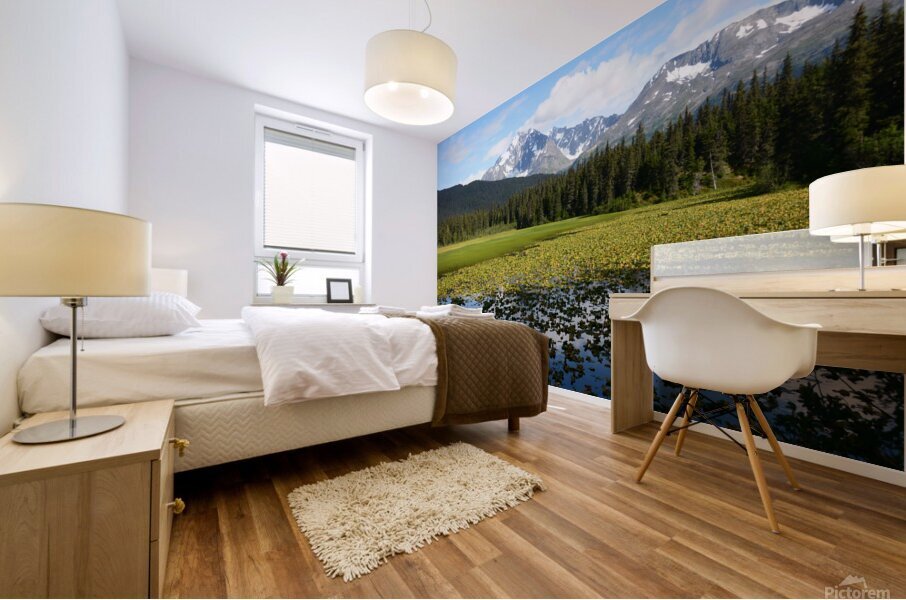 Moose Pass Alaska Mural print