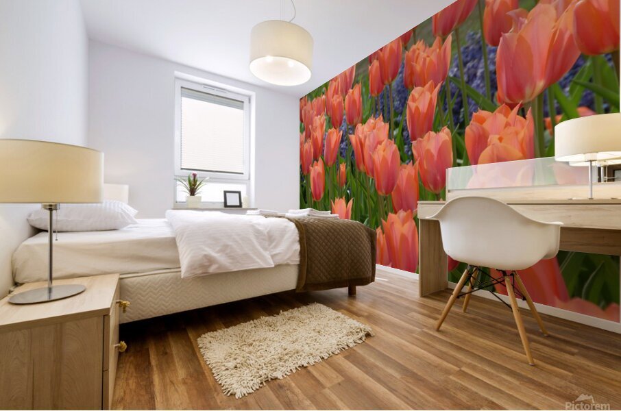 4 27 08 109 Mural print