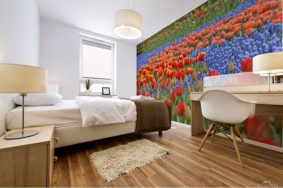 4 27 08 66 Mural print