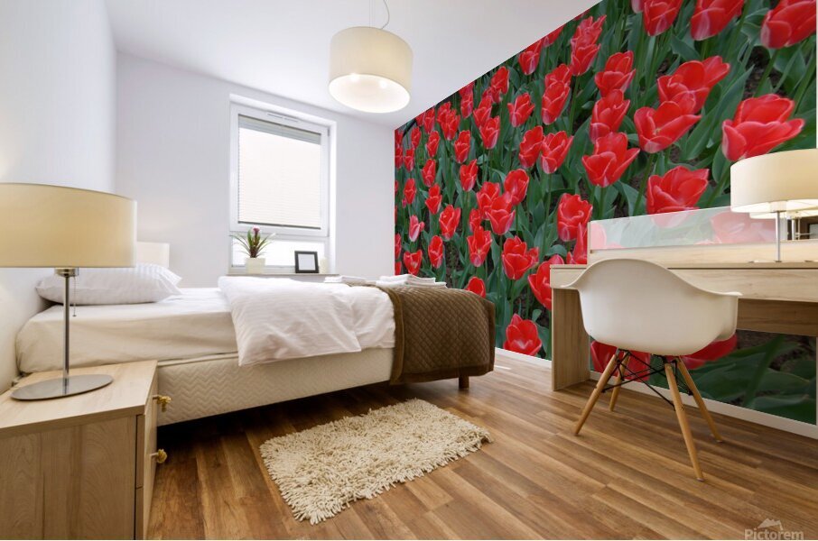 4 27 08 124 Mural print