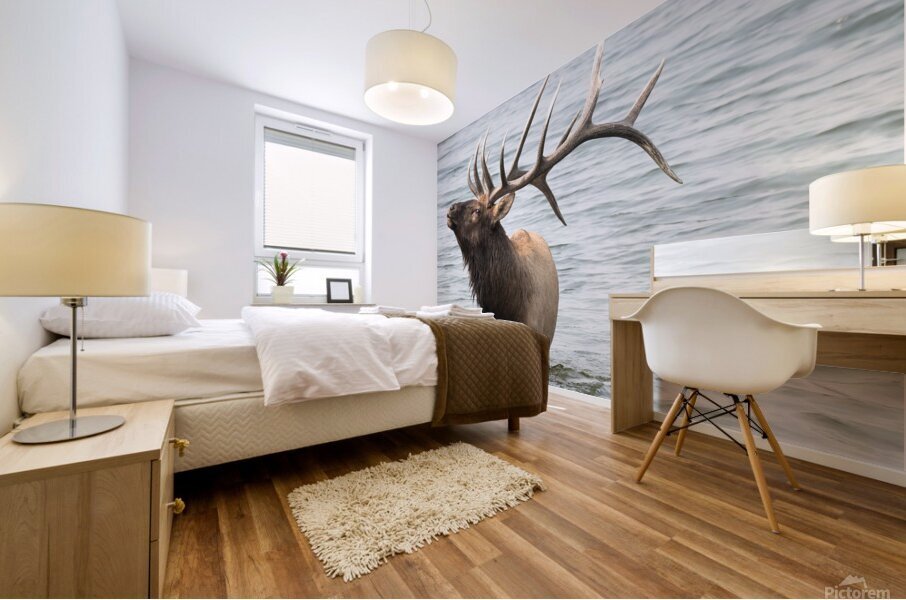  5008283 Mural print