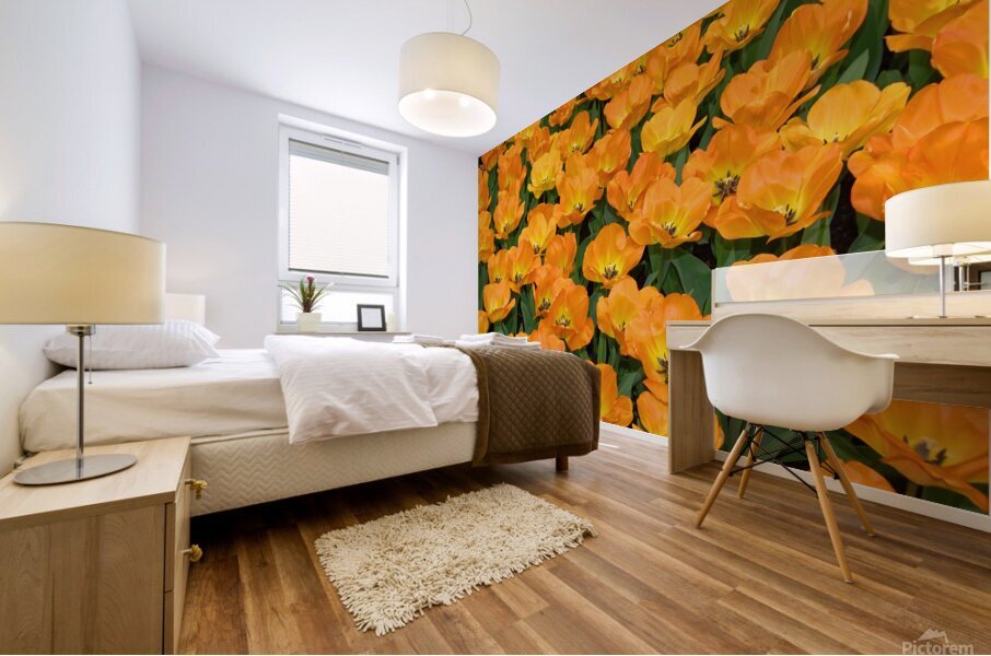 4 27 08 99enhanced Mural print