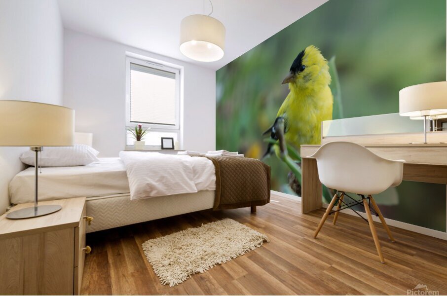 Goldfinch Mural print