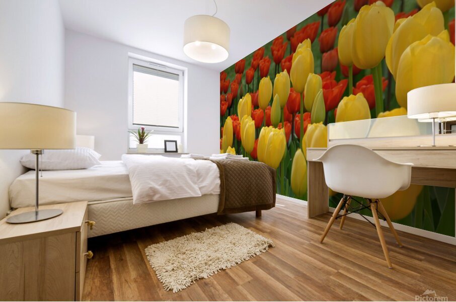 Tulip Bonanza Mural print