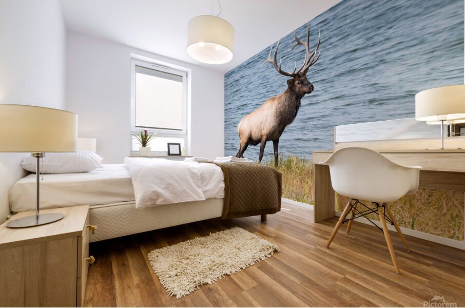 Royal Elk  Mural print