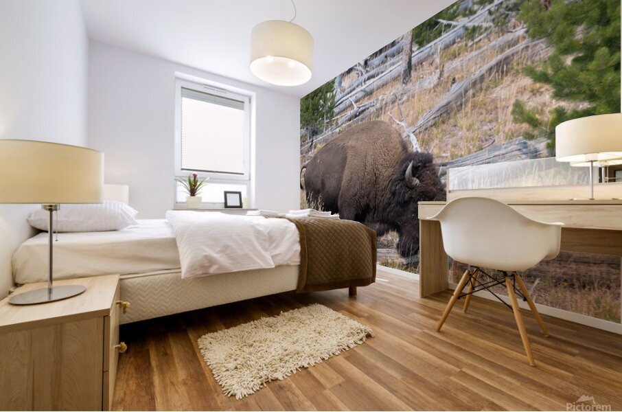 Yellowstone Bison Mural print