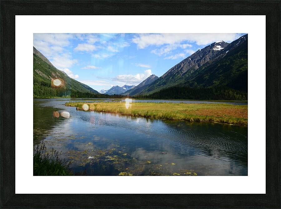 D71 9850 Picture Frame print