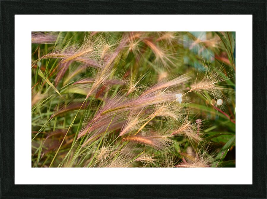 D71 1326 Picture Frame print
