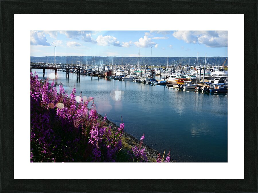 D71 9811 Picture Frame print
