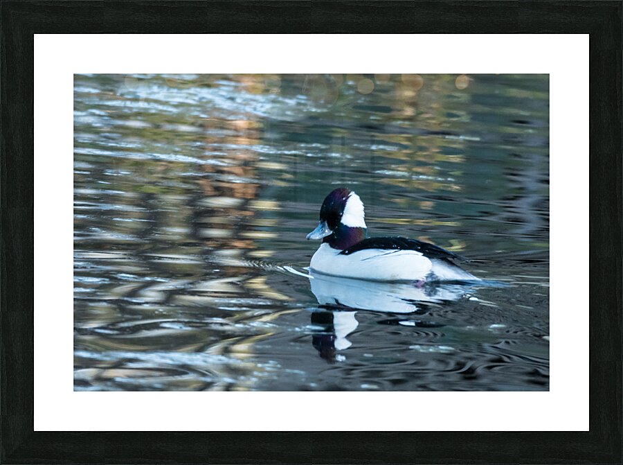 500 3581 Picture Frame print