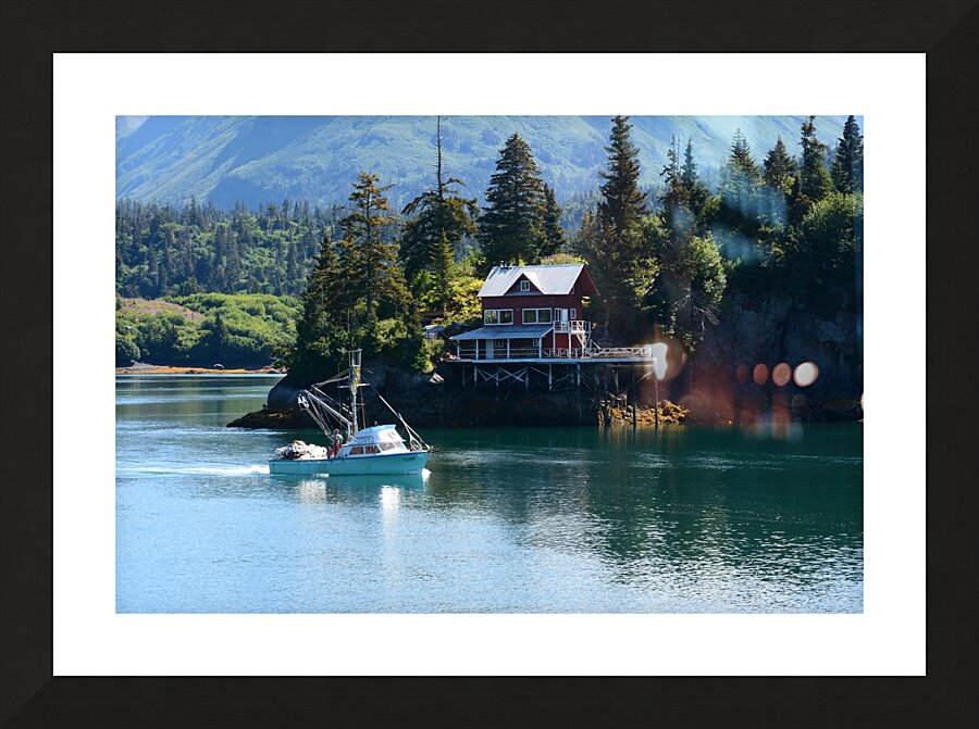 Halibut Cove Solitude Picture Frame print