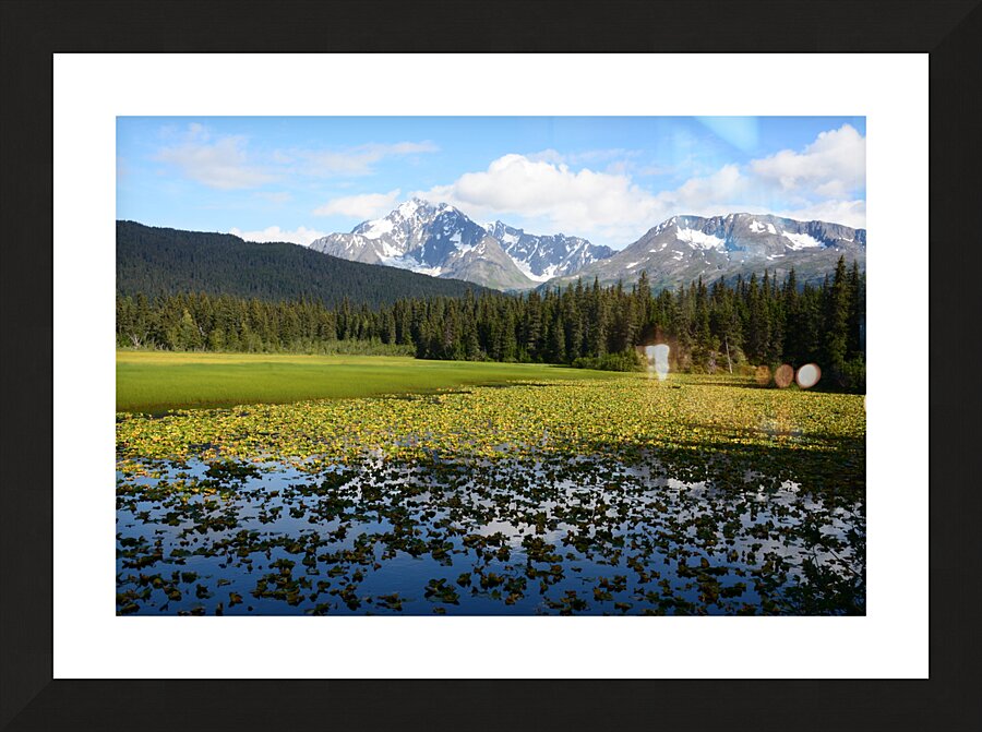 Moose Pass Alaska Picture Frame print