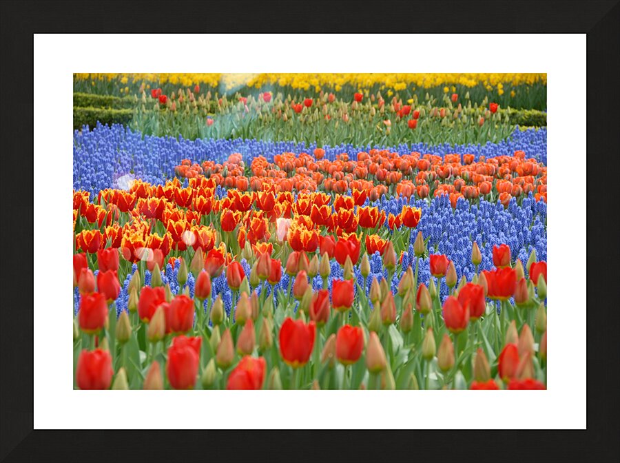 4 27 08 66 Picture Frame print
