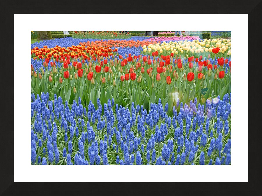 4 27 08 65 Picture Frame print