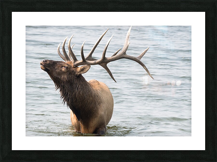  5008283 Picture Frame print