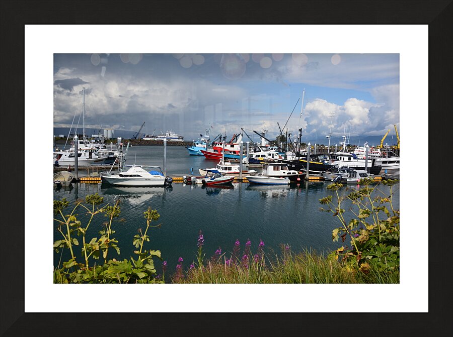 Homer Spit Harbor Picture Frame print
