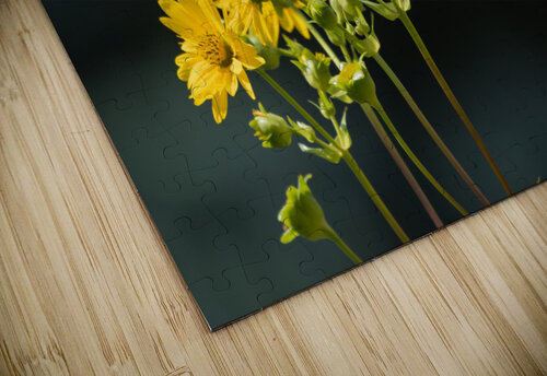 Floating Butterfly Rhammes puzzle