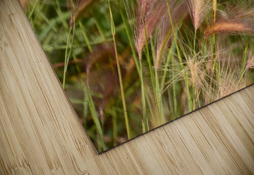 D71 1326 Rhammes puzzle