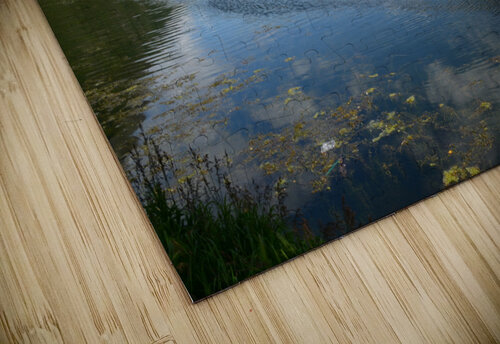 Tern Lake Alaska Rhammes puzzle