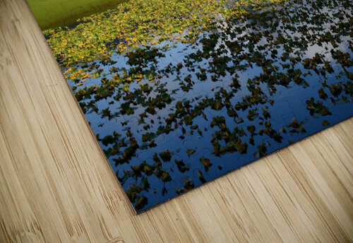 Moose Pass Alaska Rhammes puzzle