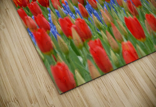 4 27 08 66 Rhammes puzzle