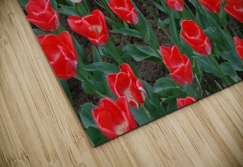 4 27 08 124 Rhammes puzzle
