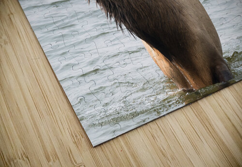  5008283 Rhammes puzzle