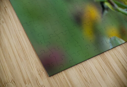 Goldfinch Rhammes puzzle