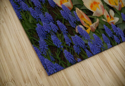 Tulip Garden Rhammes puzzle