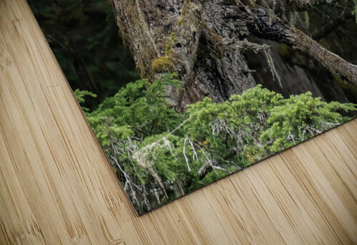 Hyder Alaska Eagle Rhammes puzzle