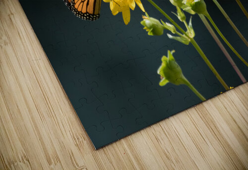 Sunflower and Monarch Rhammes puzzle