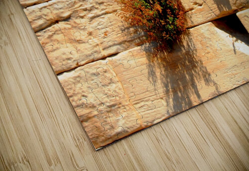 Test 4 Rhammes puzzle