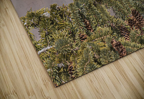 Test 6 Rhammes puzzle