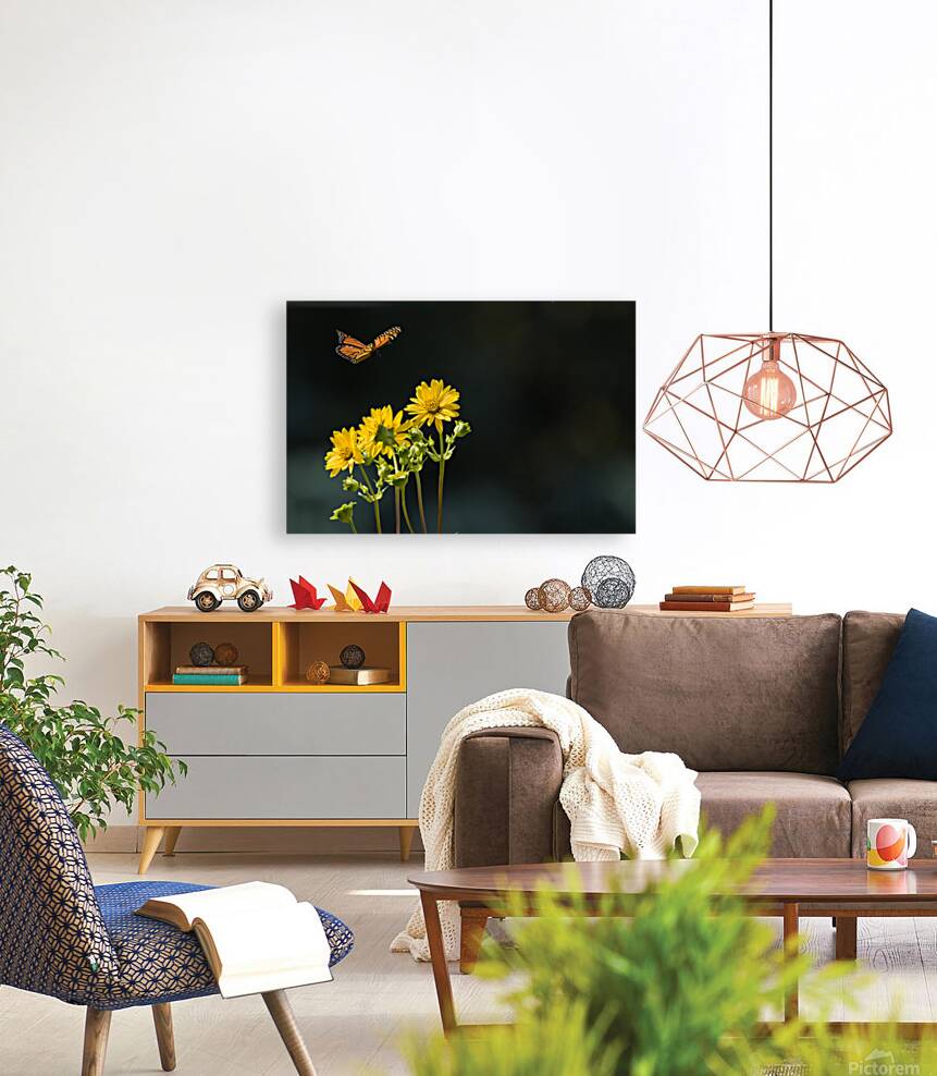 Floating Butterfly Reproduction