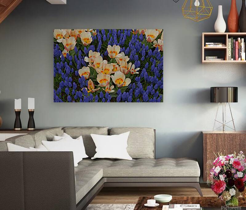 Tulip Garden Reproduction