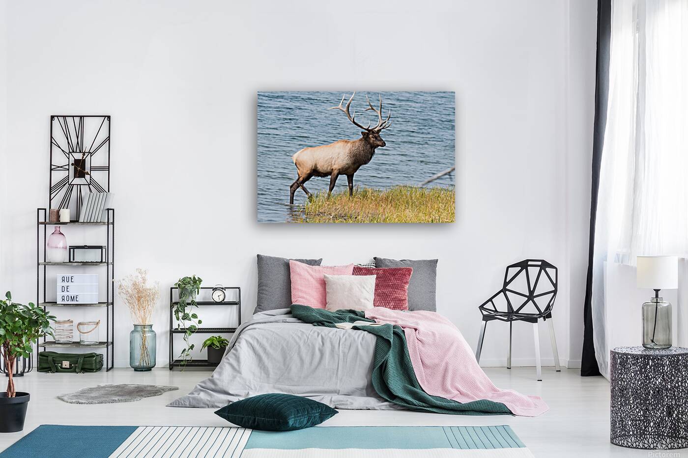 Royal Elk  Reproduction