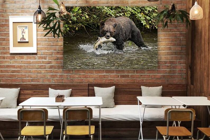 Grizzly Bear-Hyder Alaska by Rhammes