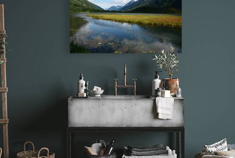 Tern Lake Alaska Reproduction