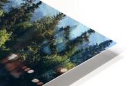 Halibut Cove Solitude HD Metal print