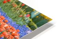 4 27 08 66 HD Metal print